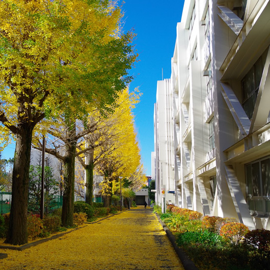 2026VEX世界大会出場が決定！　昭和女子大学附属昭和