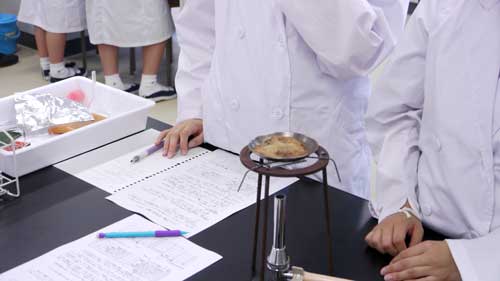 武庫川女子大学附属中学校 中学受験の情報サイト スタディ 武庫川女子大学附属中学校 中学受験の情報サイト スタディ