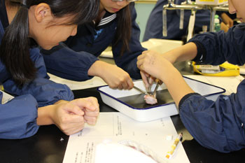 東京女学館中学校